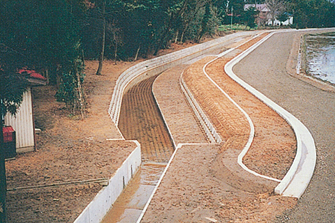 頸城村ホタル水路画像
